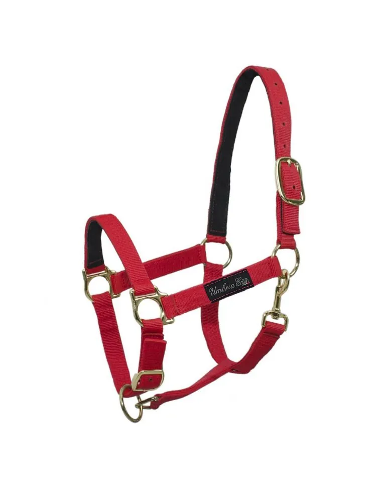 Ohlávka nylonová s koženou výstužou