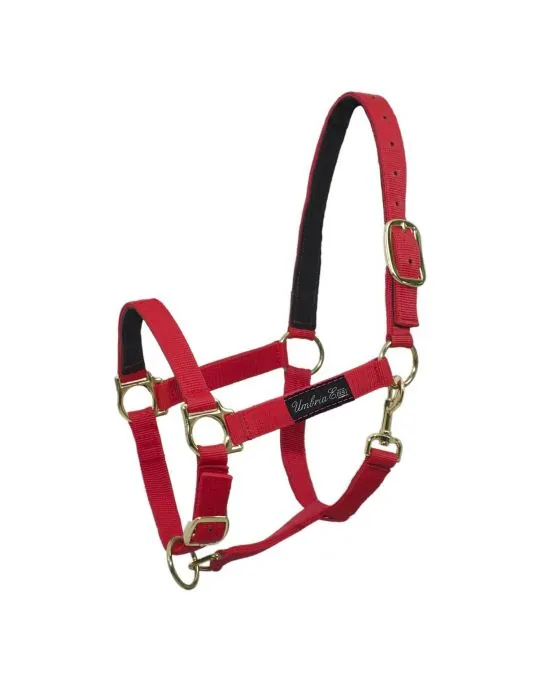 Ohlávka nylonová s koženou výstužou