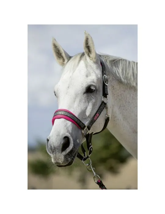 Ohlávka Survival HKM