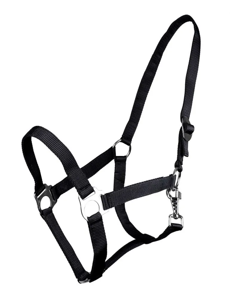 Ohlávka QHP halter economic