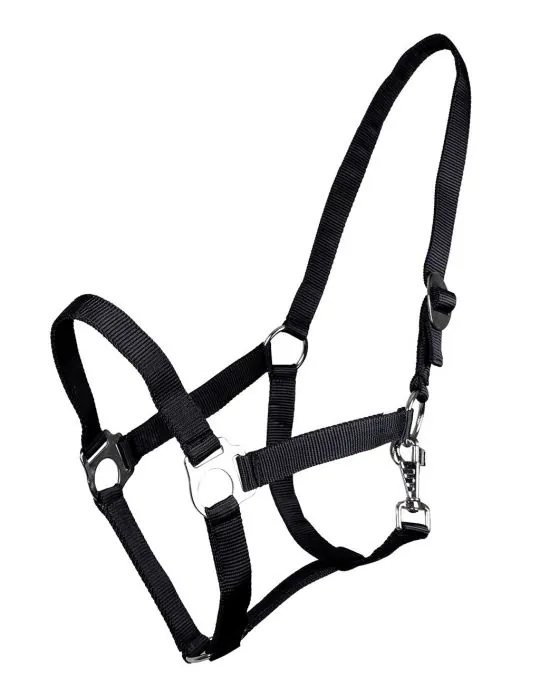 Ohlávka QHP halter economic