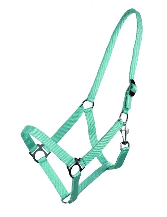 Ohlávka QHP halter economic