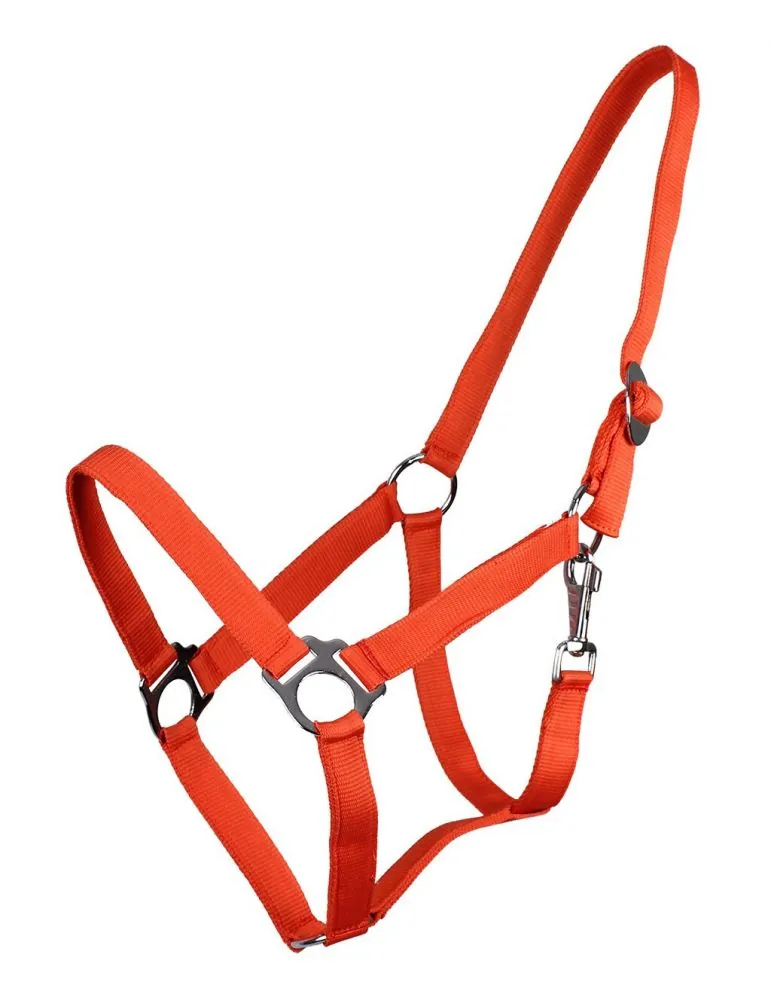 Ohlávka QHP halter economic