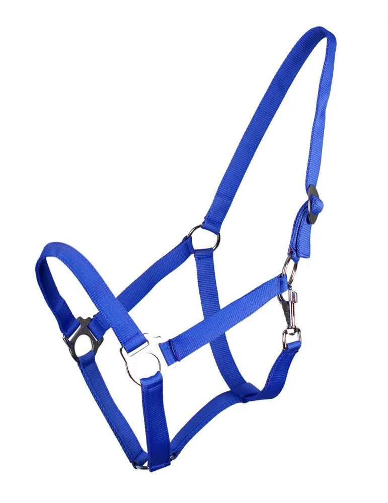 Ohlávka QHP halter economic