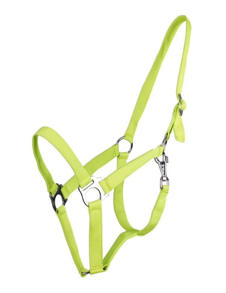 Ohlávka QHP halter economic