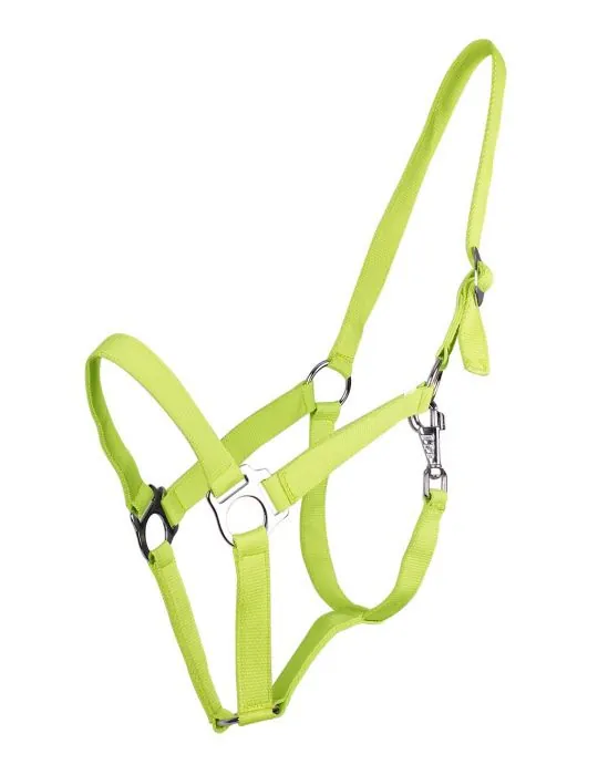 Ohlávka QHP halter economic