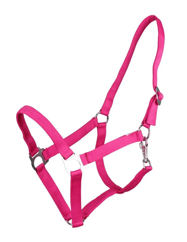 Ohlávka QHP halter economic