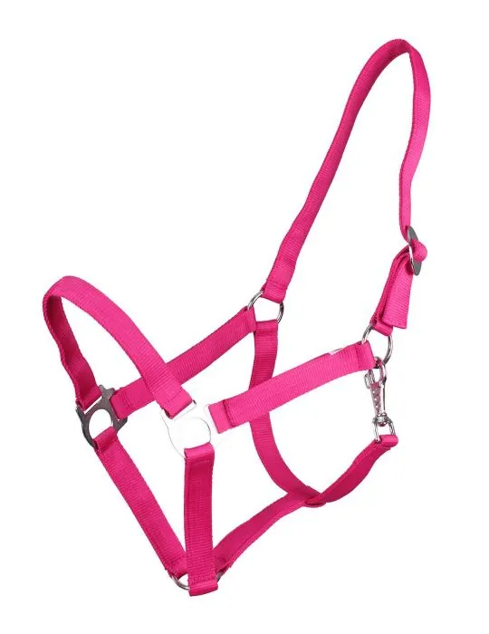 Ohlávka QHP halter economic