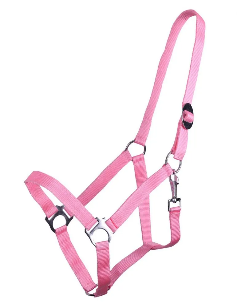 Ohlávka QHP halter economic