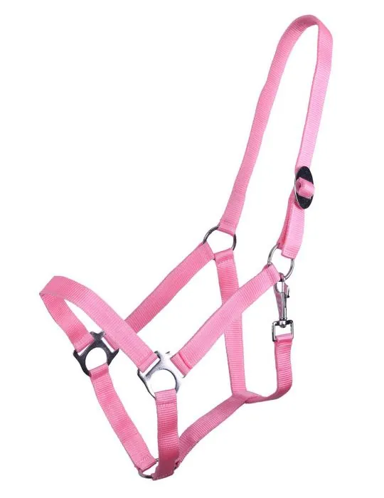 Ohlávka QHP halter economic