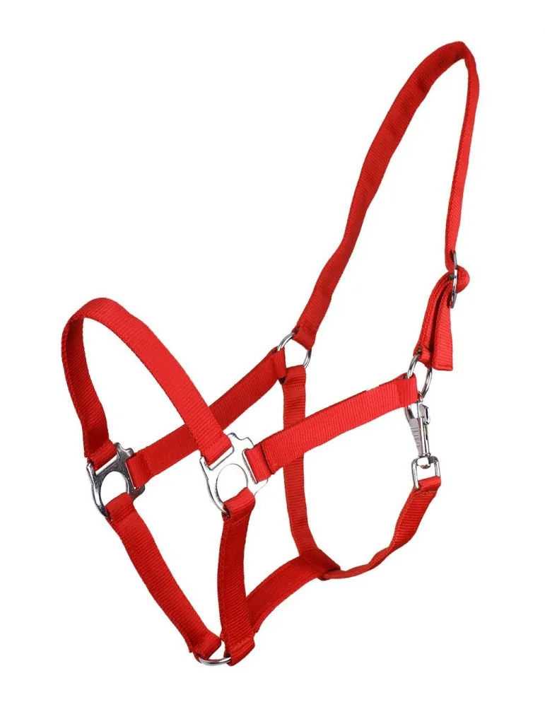 Ohlávka QHP halter economic