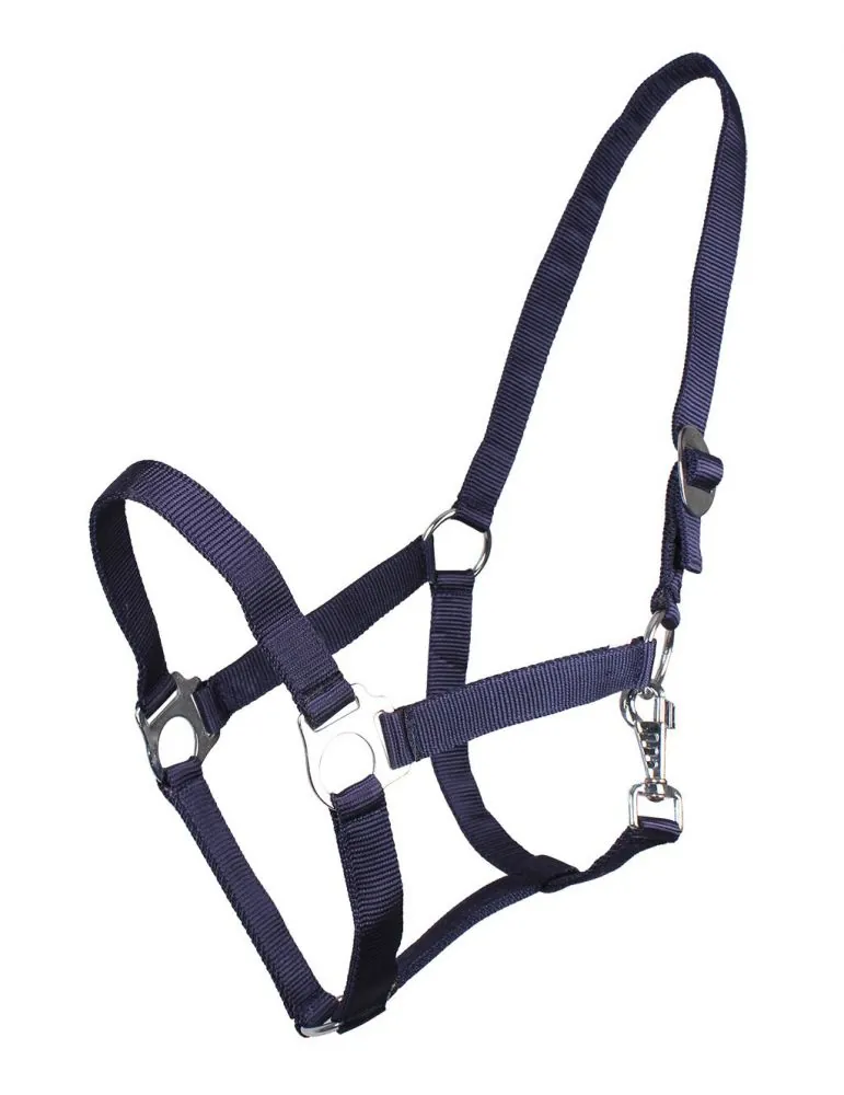 Ohlávka QHP halter economic