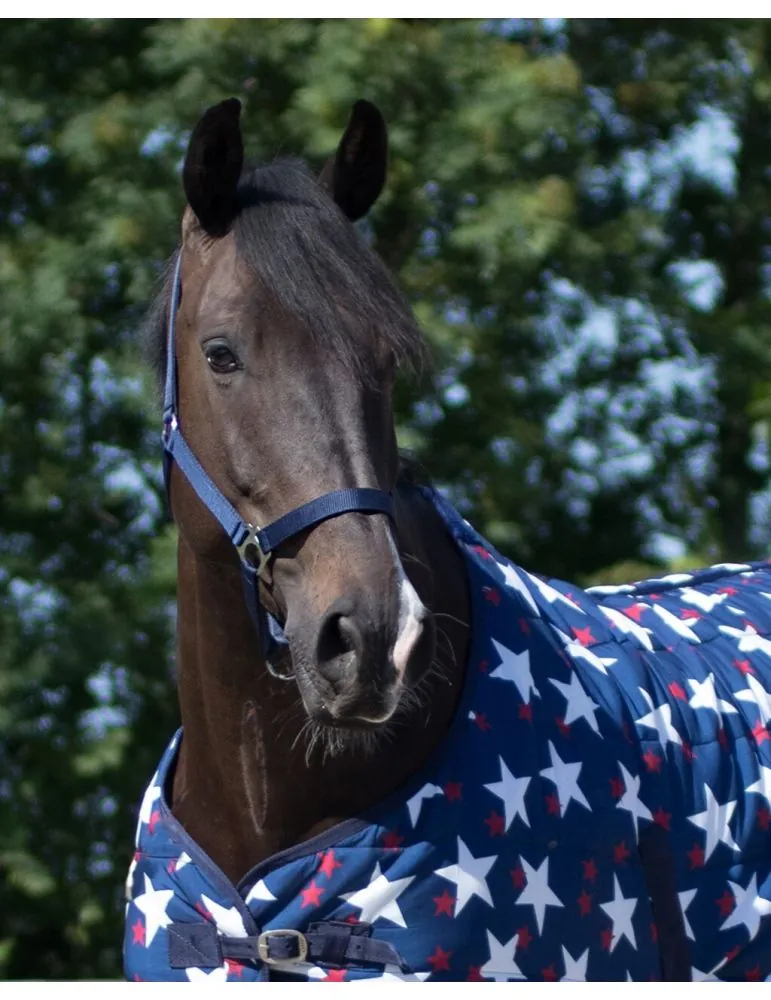 Ohlávka QHP halter economic