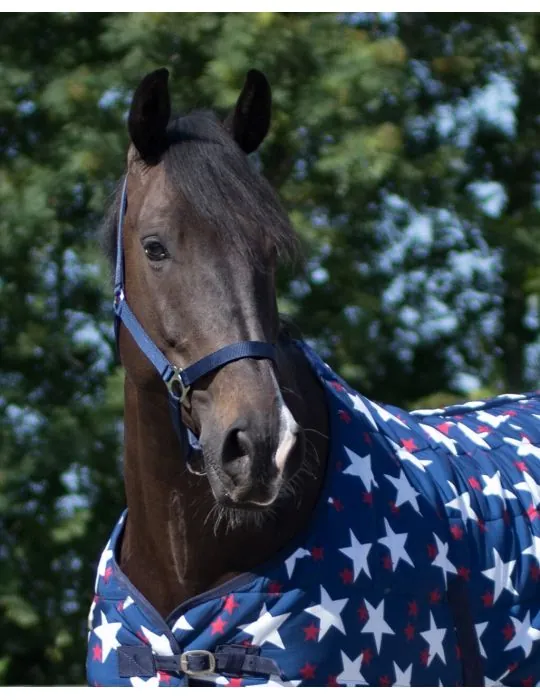 Ohlávka QHP halter economic