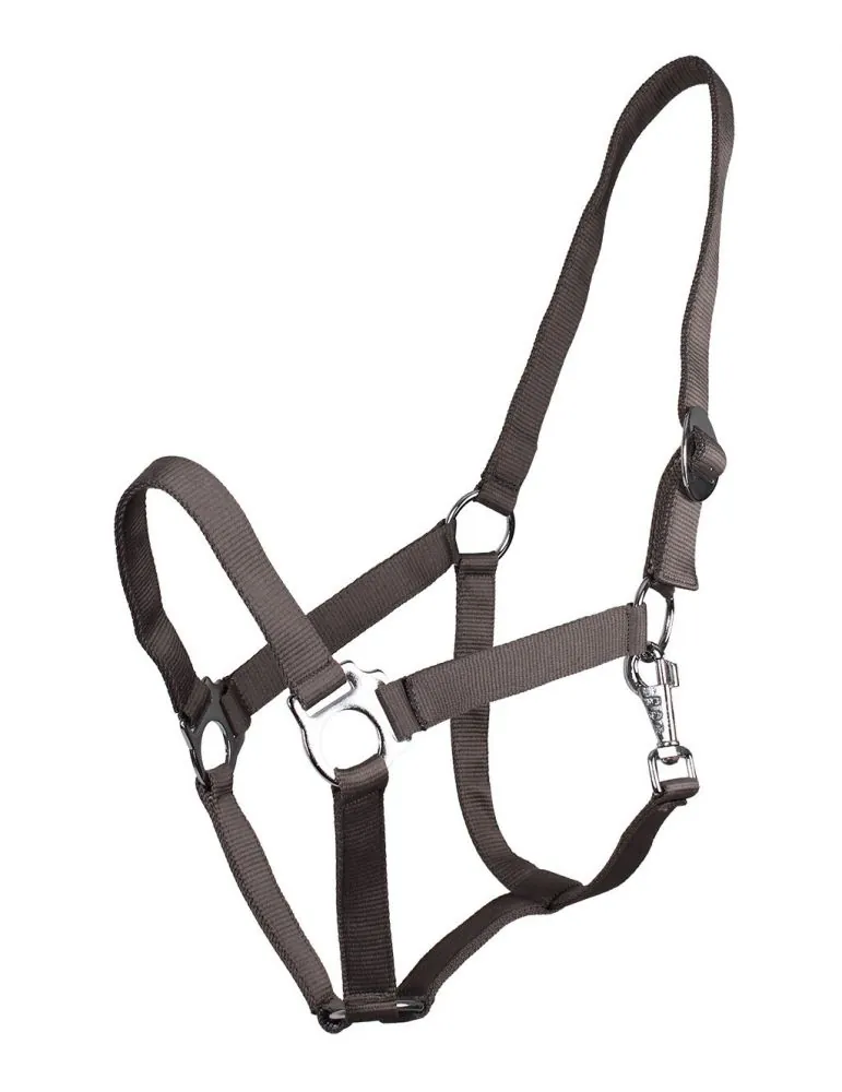 Ohlávka QHP halter economic