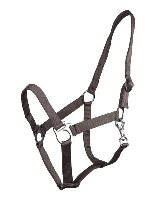 Ohlávka QHP halter economic