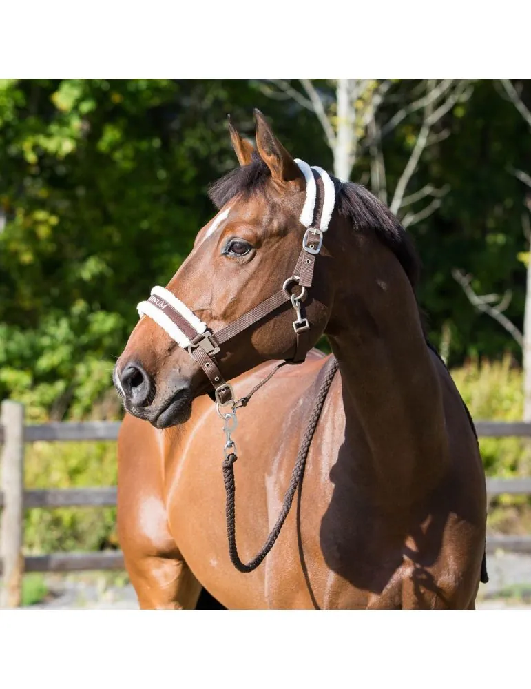 Ohlavka Horze Howard