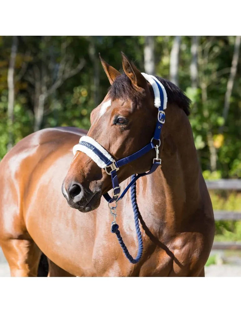 Ohlavka Horze Howard