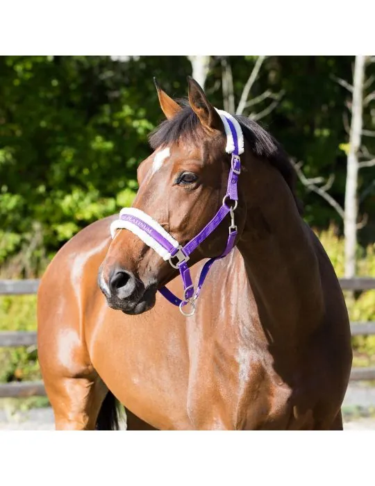 Ohlavka Horze Howard