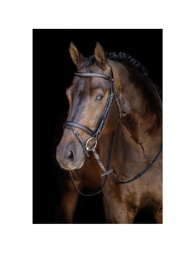 Uzdečka HKM Economic