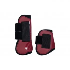 Sada chráničov Genua HKM