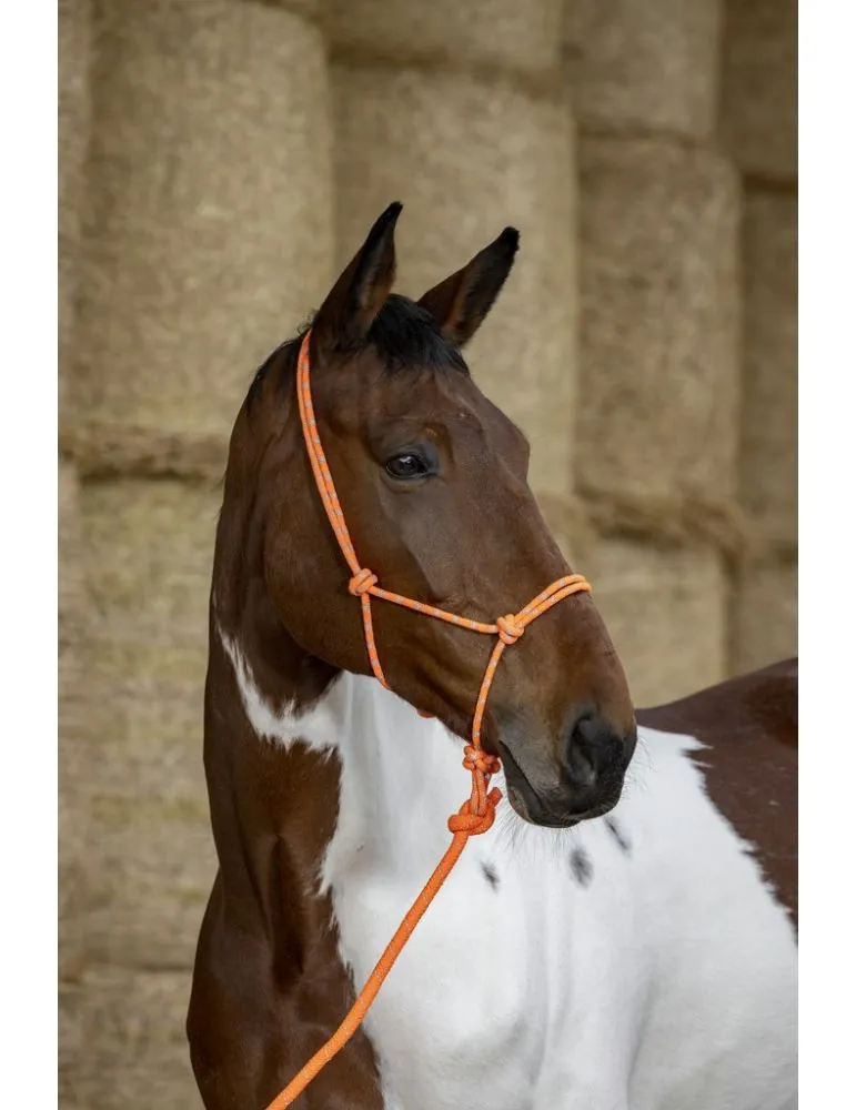 Povrazová ohlávka s vodítkom