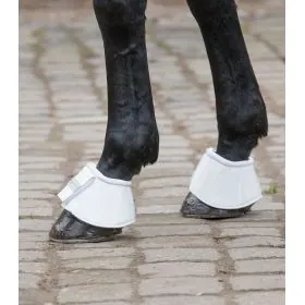 Zvony Anatomic Waldhausen 2