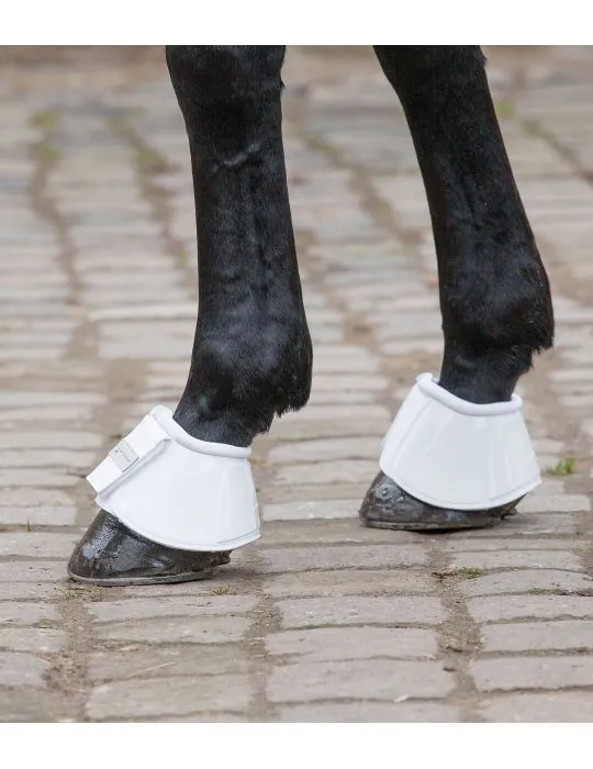 Zvony Anatomic Waldhausen