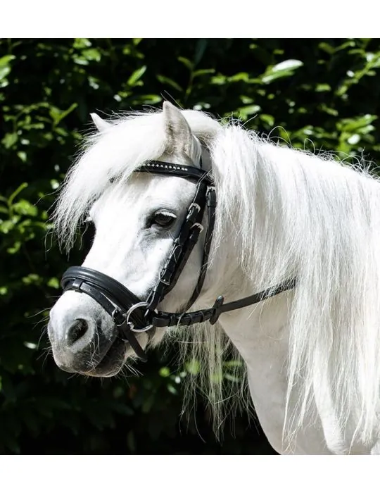 Uzdečka Miny Shetty HKM