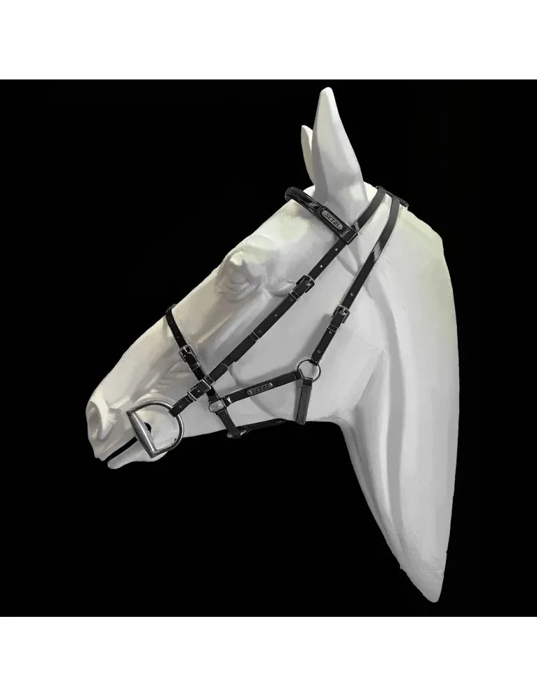 Uzda a ohlávka Diamond Setzi