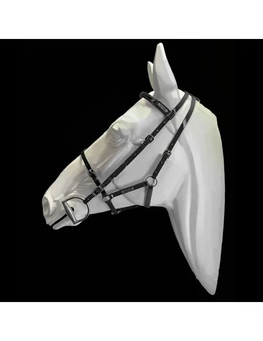 Uzda a ohlávka Diamond Setzi