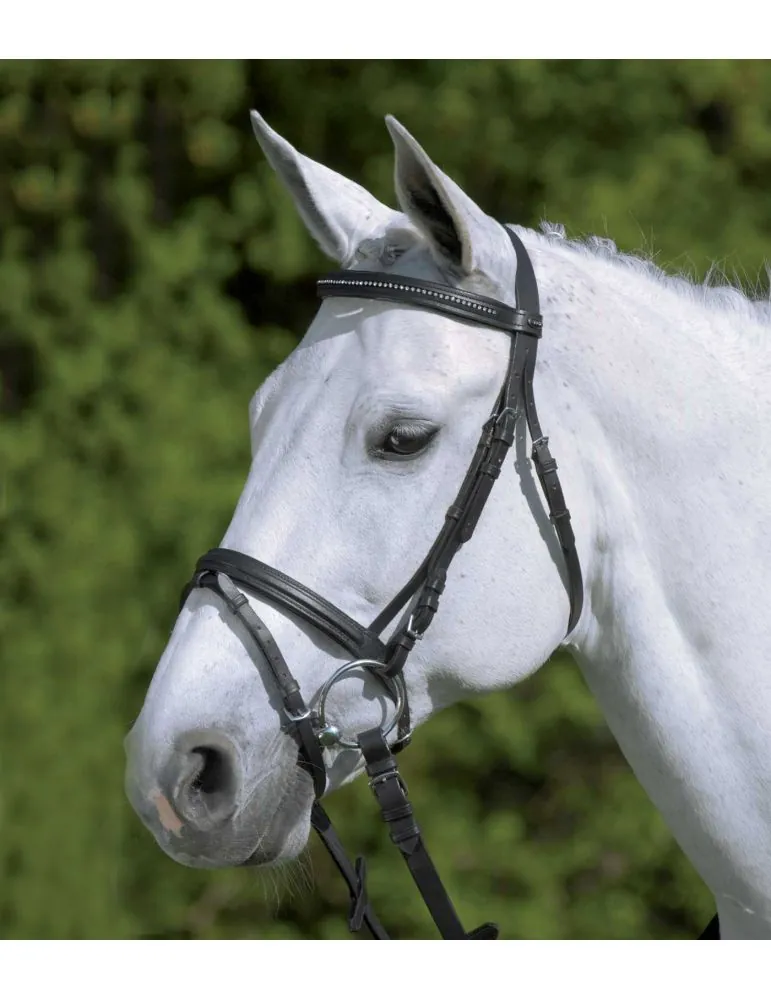 Uzda Star Diamond Waldhausen