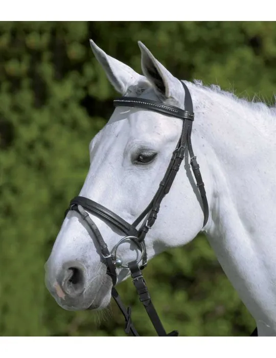 Uzda Star Diamond Waldhausen