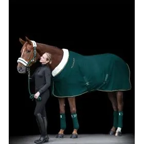 Fleesova deka Modern Rose 2