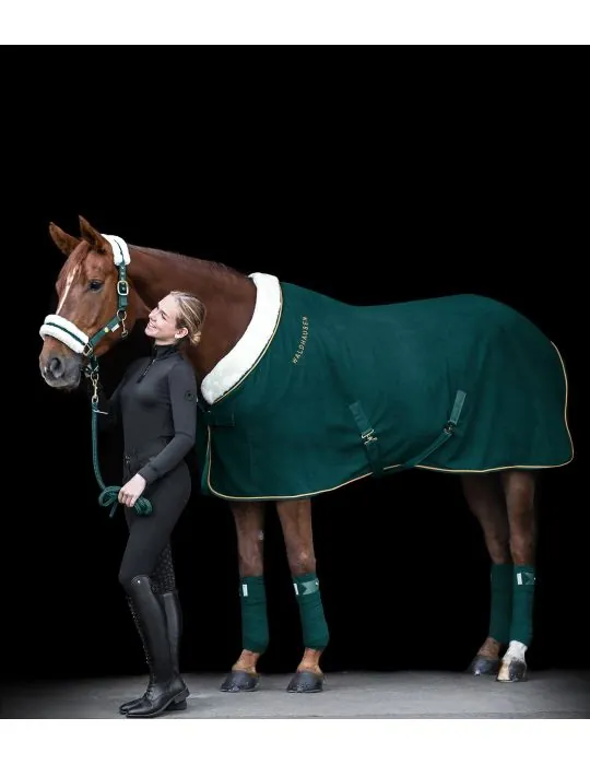 Fleesova deka Modern Rose