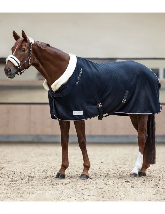 Fleesova deka Modern Rose