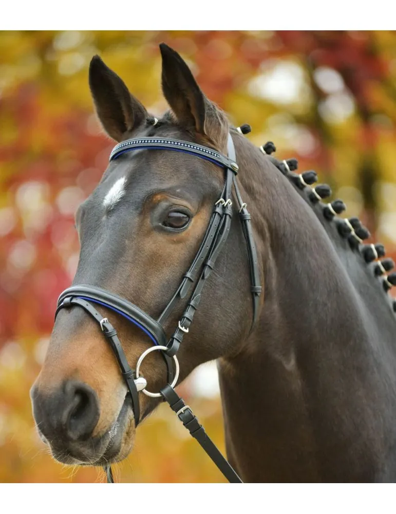 Uzda Star Diamond Waldhausen