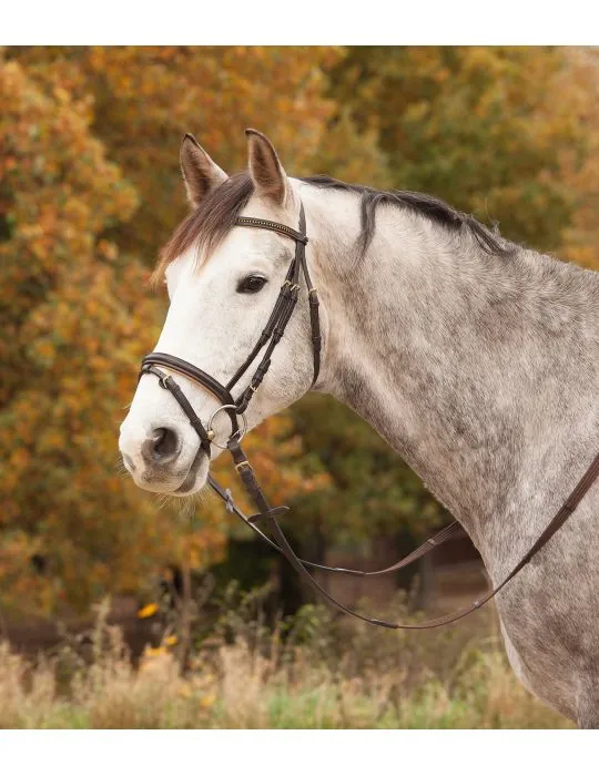 Uzda Star Diamond Waldhausen