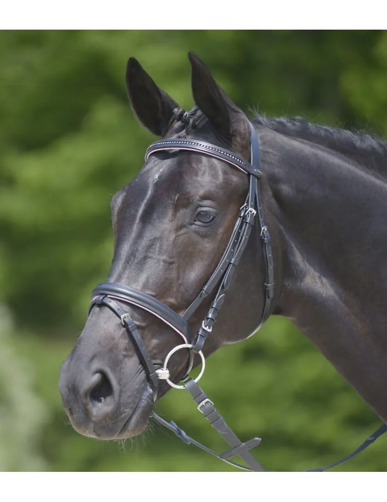 Uzda Star Diamond Waldhausen