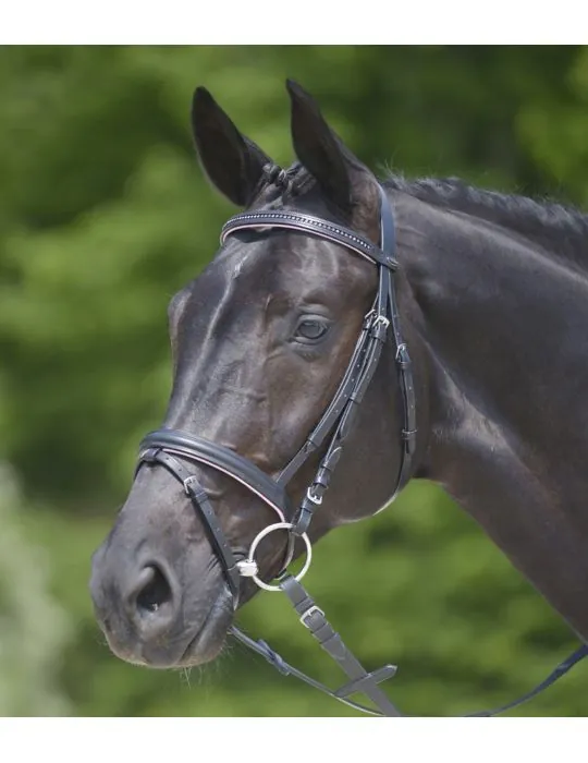 Uzda Star Diamond Waldhausen