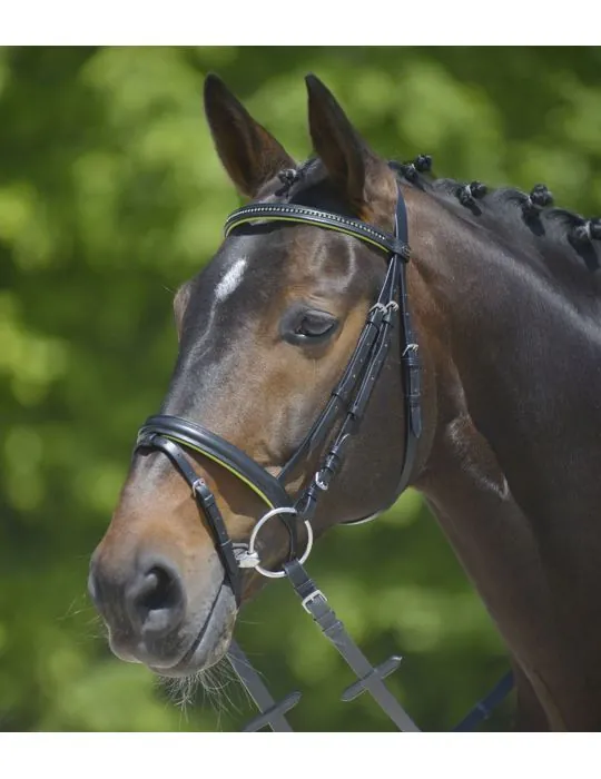 Uzda Star Diamond Waldhausen