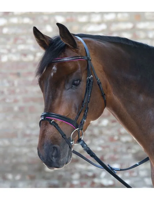 Uzda Star Diamond Waldhausen