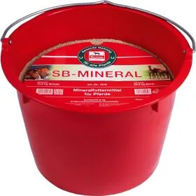 Salvana  SB Mineral 22,5kg