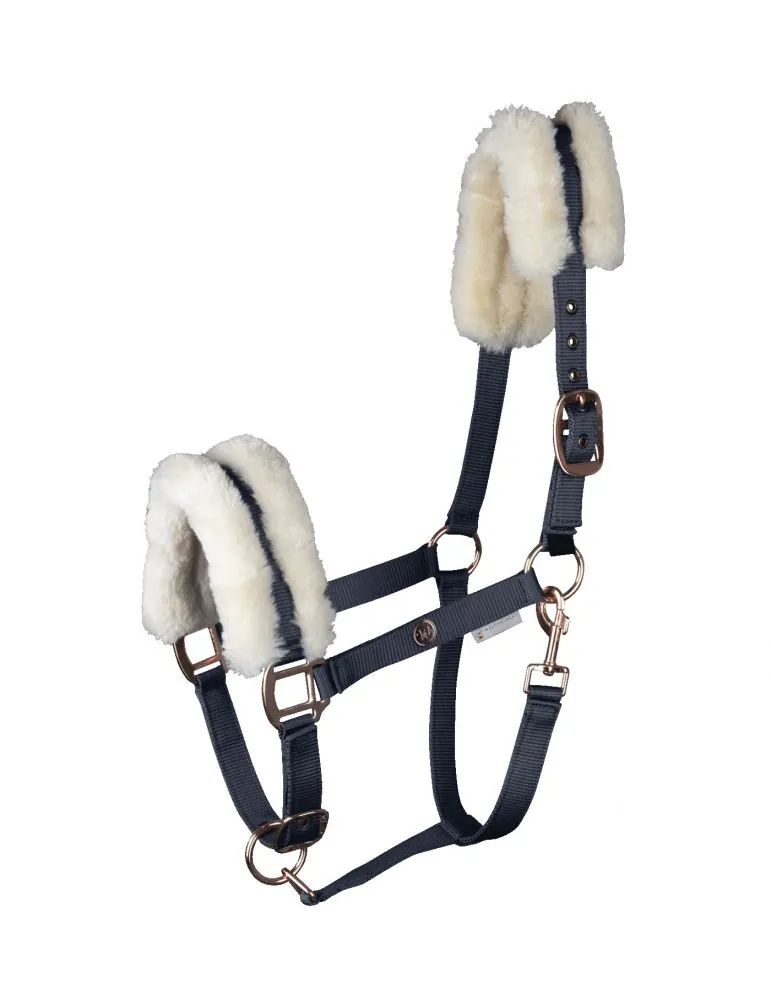 Ohlávka Modern Rosé