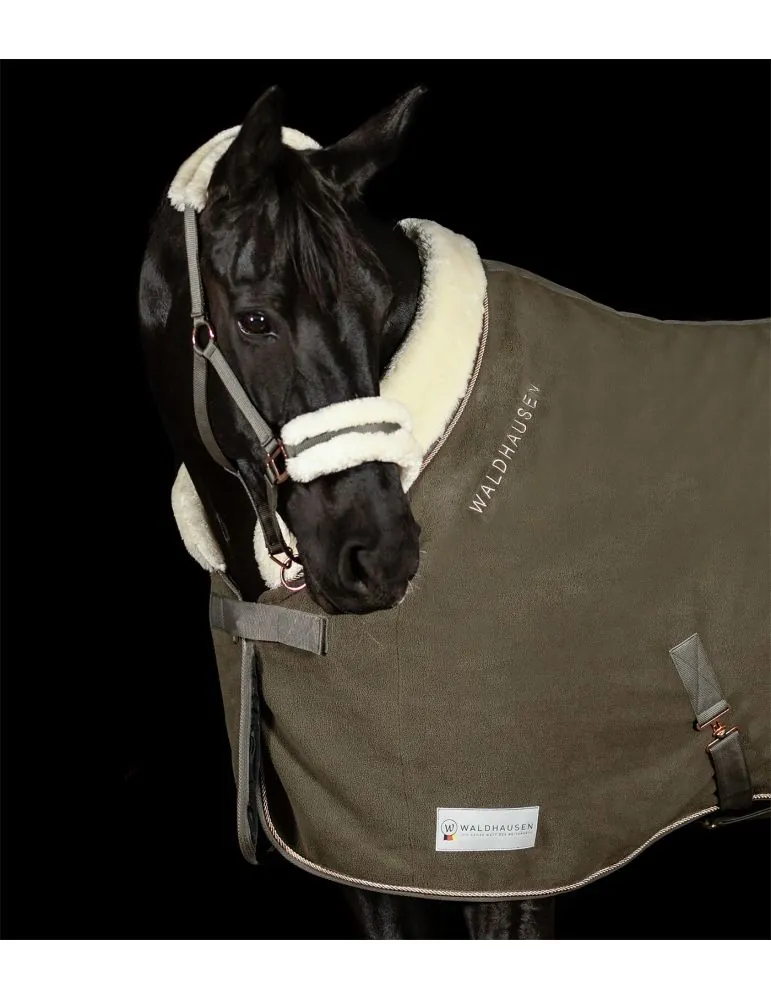 Ohlávka Modern Rosé