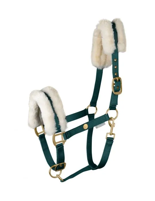 Ohlávka Modern Rosé