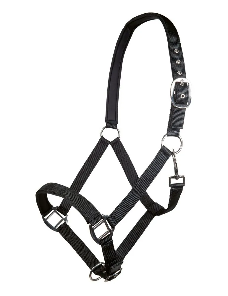 Ohlávka Charming HKM