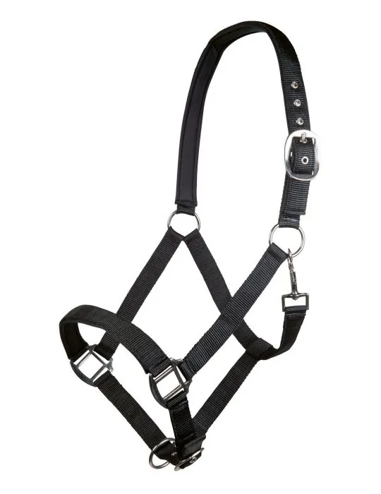 Ohlávka Charming HKM