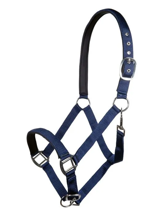 Ohlávka Charming HKM