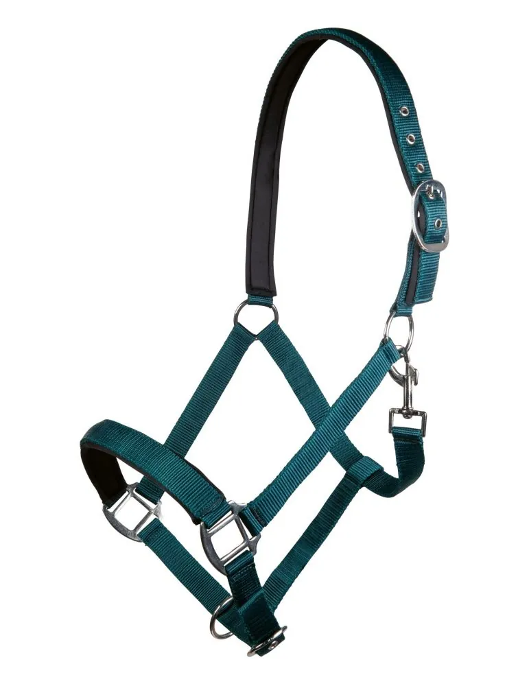 Ohlávka Charming HKM